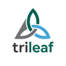 Profile picture of Trileaf templates