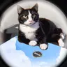 Profile picture of Clawsandbits